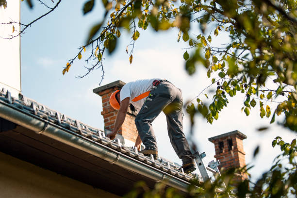 Steel Roofing in North Charleston, SC