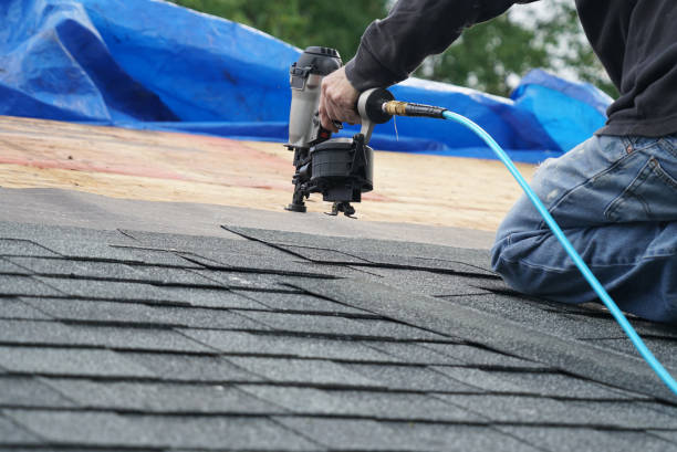 Roof Moss and Algae Removal in North Charleston, SC